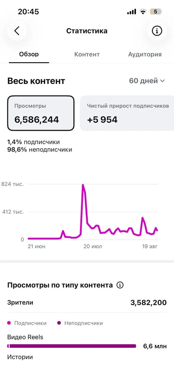 Статистика Instagram за 60 дней: просмотры и прирост подписчиков
